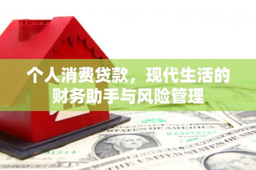 泽普个人消费贷款，现代生活的财务助手与风险管理