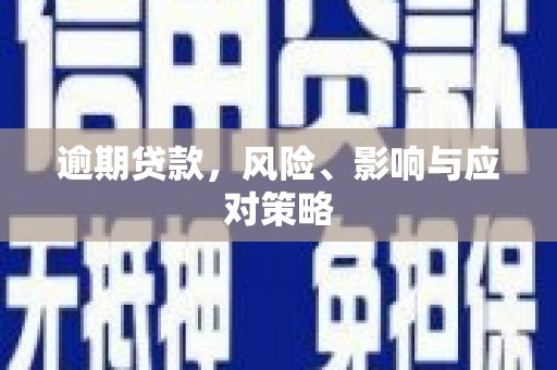 泽普逾期贷款，风险、影响与应对策略