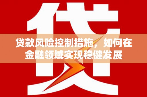 泽普贷款风险控制措施，如何在金融领域实现稳健发展