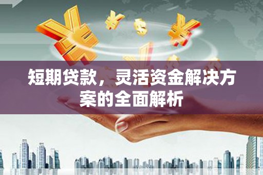 泽普短期贷款，灵活资金解决方案的全面解析