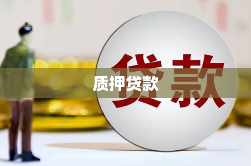 泽普质押贷款