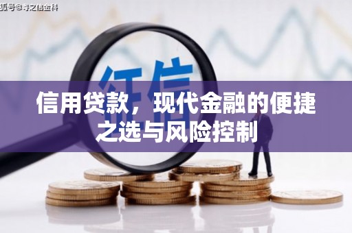 泽普信用贷款，现代金融的便捷之选与风险控制