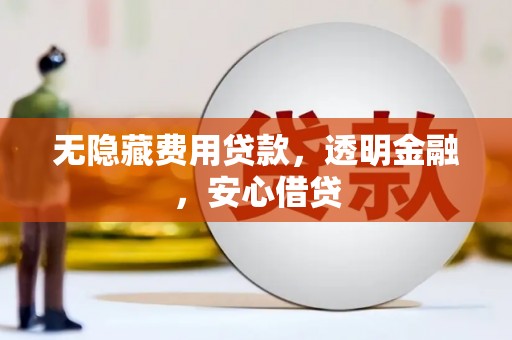 泽普无隐藏费用贷款，透明金融，安心借贷