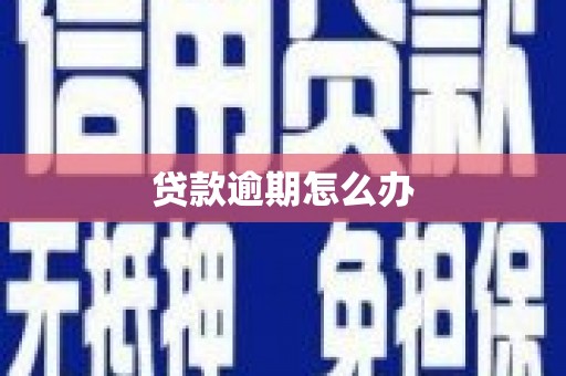泽普贷款逾期怎么办