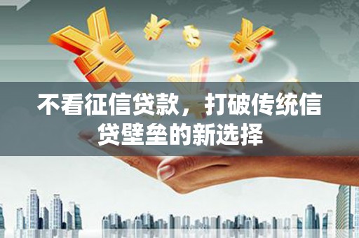 泽普不看征信贷款，打破传统信贷壁垒的新选择