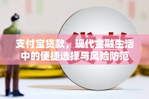 泽普支付宝贷款，现代金融生活中的便捷选择与风险防范