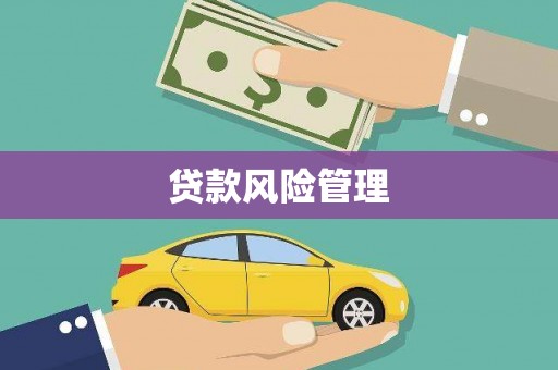 泽普贷款风险管理