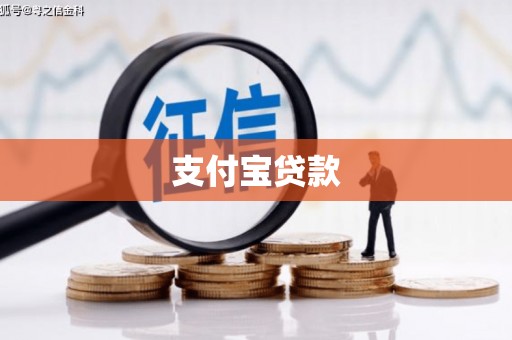 泽普支付宝贷款