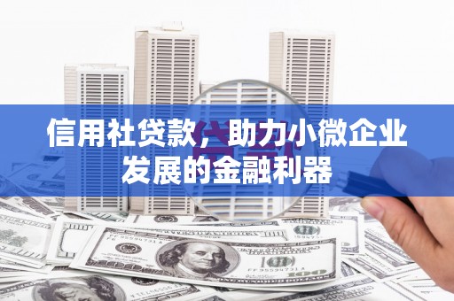 泽普信用社贷款，助力小微企业发展的金融利器