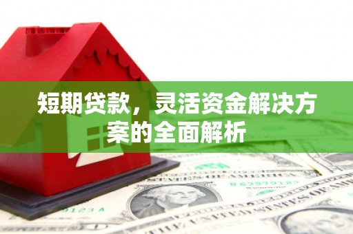泽普短期贷款，灵活资金解决方案的全面解析