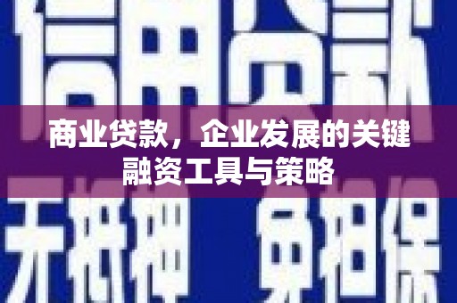 泽普商业贷款，企业发展的关键融资工具与策略