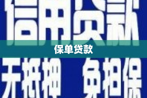 泽普保单贷款