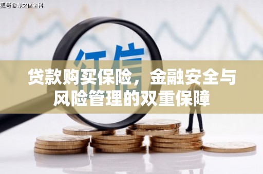 泽普贷款购买保险，金融安全与风险管理的双重保障
