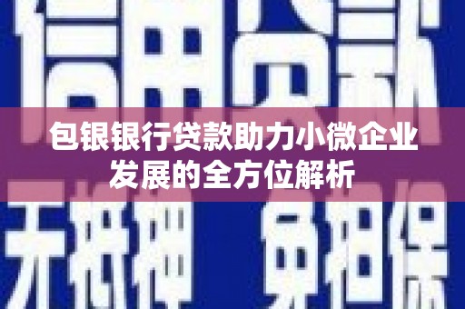 泽普包银银行贷款助力小微企业发展的全方位解析