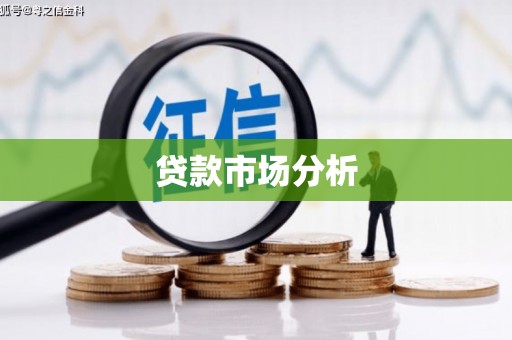 泽普贷款市场分析