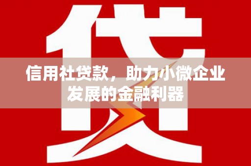 泽普信用社贷款，助力小微企业发展的金融利器