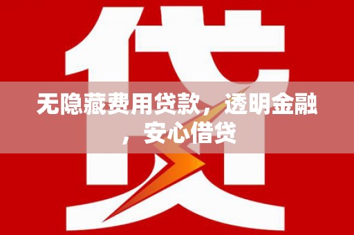泽普无隐藏费用贷款，透明金融，安心借贷