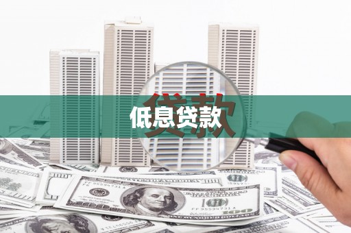 泽普低息贷款