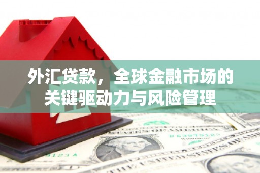 泽普外汇贷款，全球金融市场的关键驱动力与风险管理