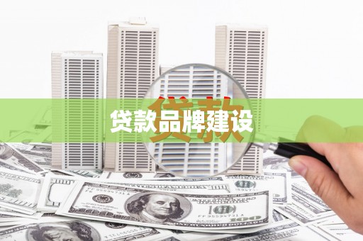 泽普贷款品牌建设