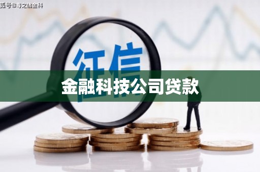 泽普金融科技公司贷款