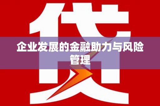 泽普企业发展的金融助力与风险管理