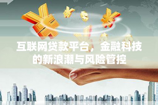 泽普互联网贷款平台，金融科技的新浪潮与风险管控