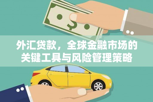 泽普外汇贷款，全球金融市场的关键工具与风险管理策略