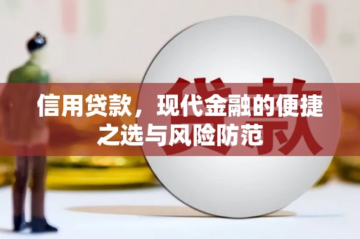 泽普信用贷款，现代金融的便捷之选与风险防范