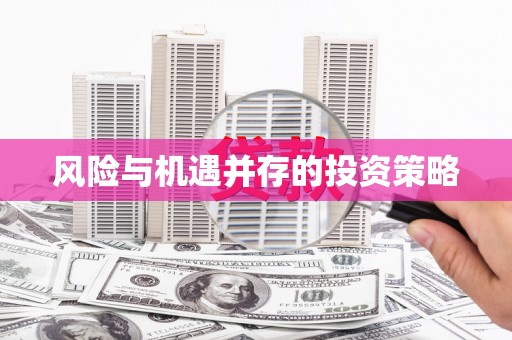 泽普风险与机遇并存的投资策略