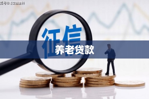 泽普养老贷款