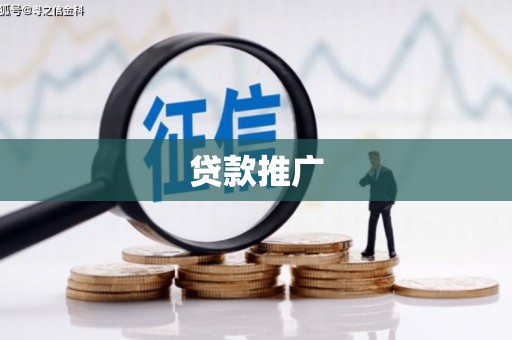 泽普贷款推广