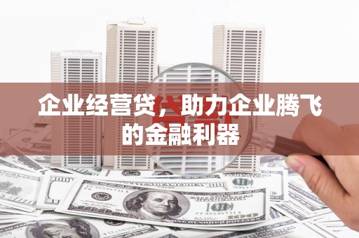 泽普企业经营贷，助力企业腾飞的金融利器