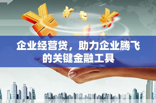 泽普企业经营贷，助力企业腾飞的关键金融工具