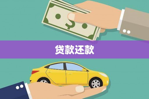 泽普贷款还款