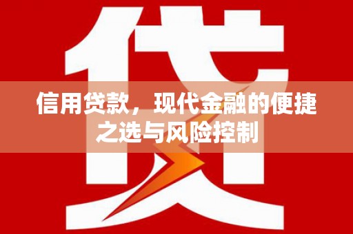 泽普信用贷款，现代金融的便捷之选与风险控制