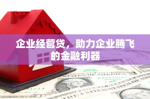 泽普企业经营贷，助力企业腾飞的金融利器