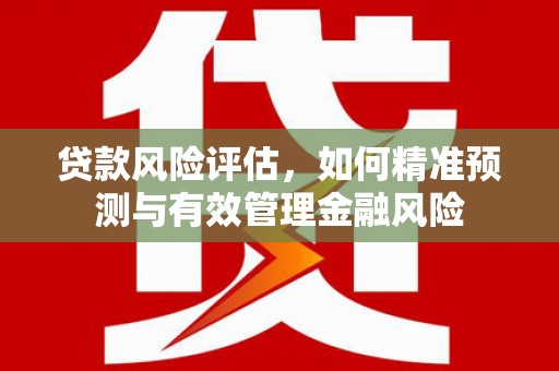 泽普贷款风险评估，如何精准预测与有效管理金融风险