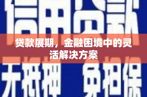 泽普贷款展期，金融困境中的灵活解决方案