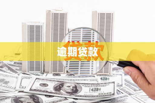 泽普逾期贷款