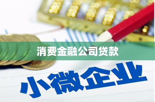 泽普消费金融公司贷款