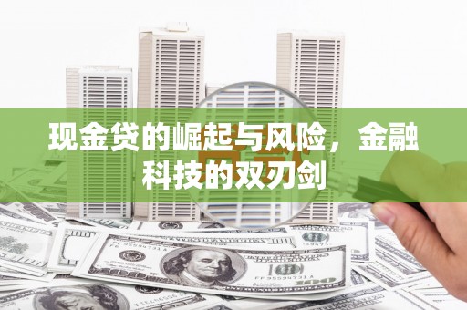 泽普现金贷的崛起与风险，金融科技的双刃剑