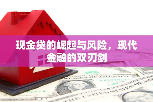 泽普现金贷的崛起与风险，现代金融的双刃剑