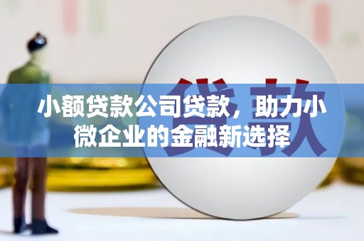 泽普小额贷款公司贷款，助力小微企业的金融新选择