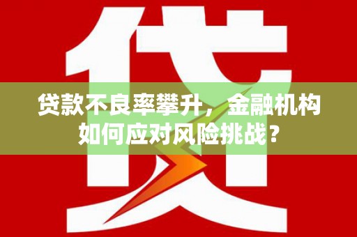 泽普贷款不良率攀升，金融机构如何应对风险挑战？