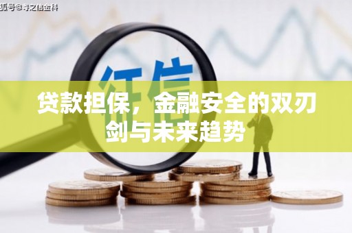 泽普贷款担保，金融安全的双刃剑与未来趋势