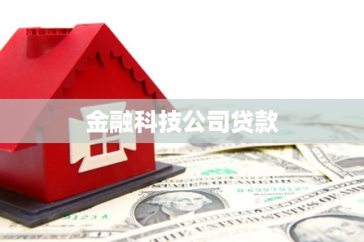 泽普金融科技公司贷款