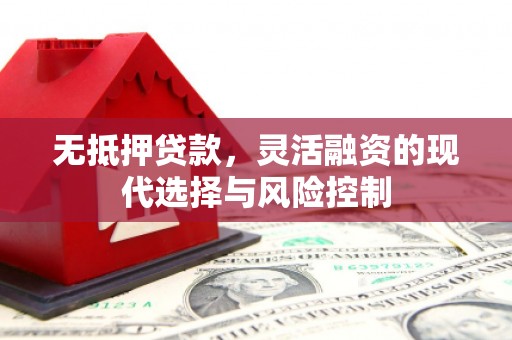 泽普无抵押贷款，灵活融资的现代选择与风险控制
