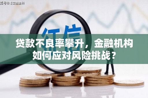 泽普贷款不良率攀升，金融机构如何应对风险挑战？
