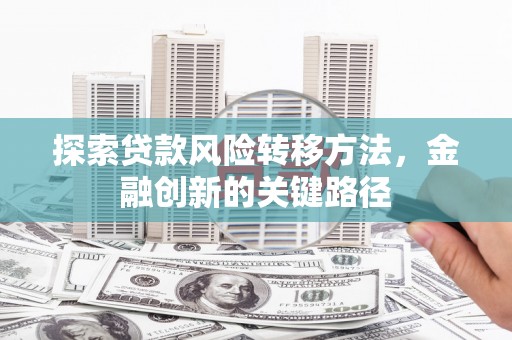 泽普探索贷款风险转移方法，金融创新的关键路径